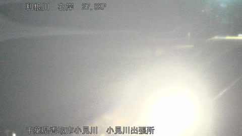 tonko2026011521_image