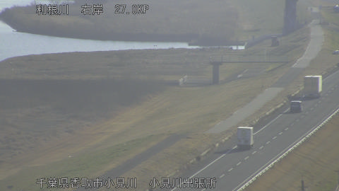 tonko2026011609_image