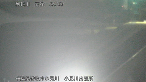 tonko2026011622_image