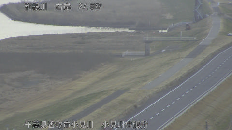 tonko2026011708_image