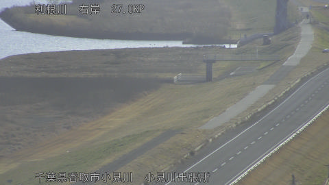 tonko2026011809_image