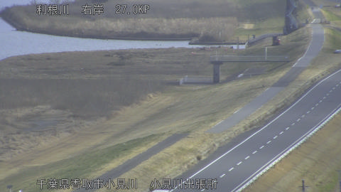 tonko2026011812_image