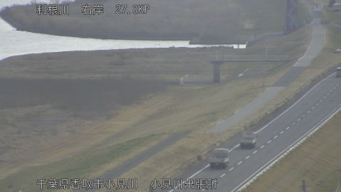 tonko2026011909_image