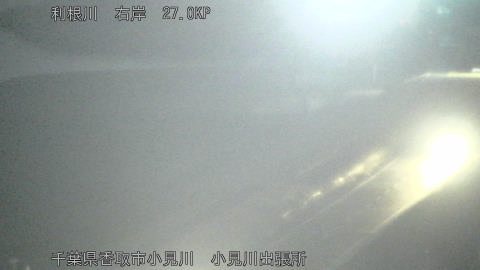 tonko2026012120_image