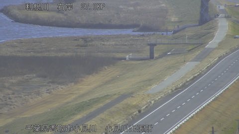 tonko2026012210_image