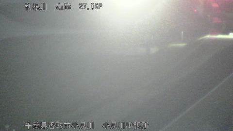 tonko2026012405_image