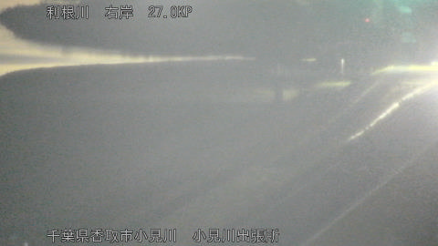 tonko2026012406_image