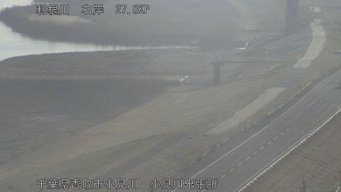 tonko2026012408_image