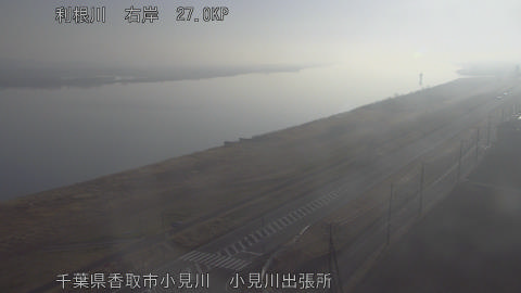 tonko2026022208_image