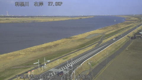 tonko2026022216_image