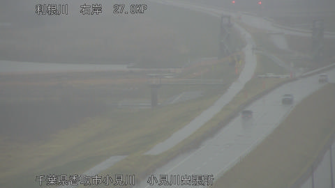 tonko2026022509_image