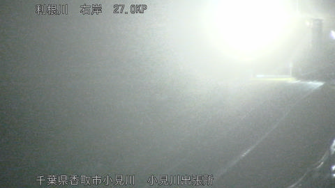 tonko2026022602_image