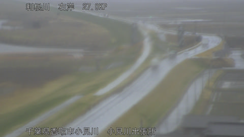 tonko2026030311_image