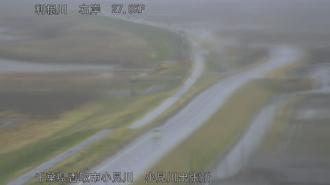 tonko2026030313_image