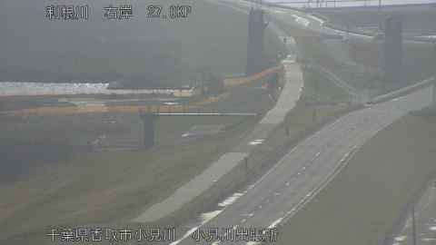 tonko2026030709_image