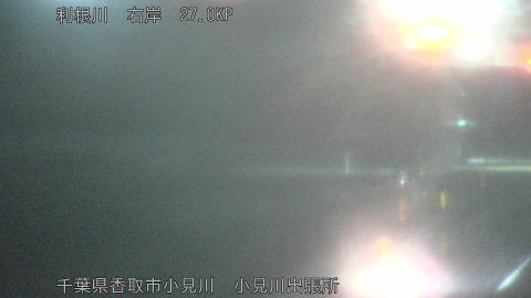 tonko2026031523_image