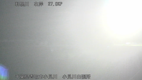 tonko2026032503_image