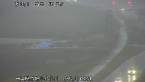 tonko2026032618_image