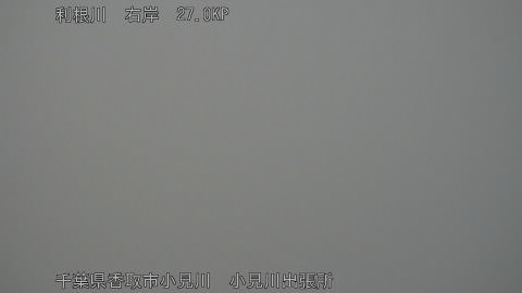 tonko2026032907_image