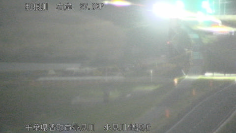 tonko2026032922_image