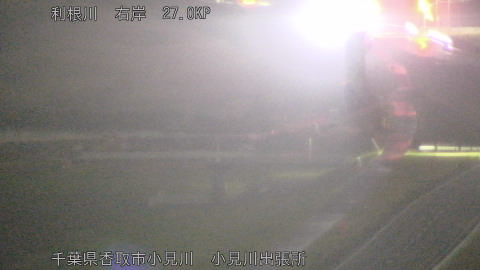 tonko2026040100_image