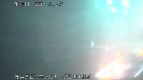 tonko2026040123_image