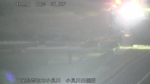 tonko2026040323_image