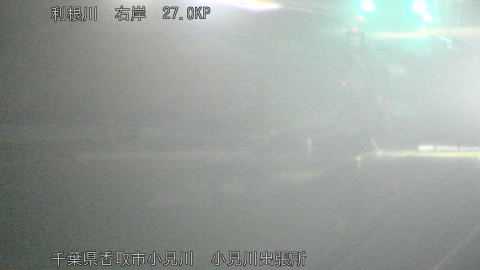 tonko2026040422_image