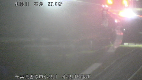 tonko2026040423_image