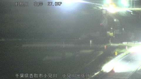 tonko2026041721_image