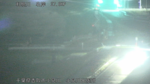 tonko2026042623_image