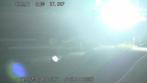 tonko2026042904_image