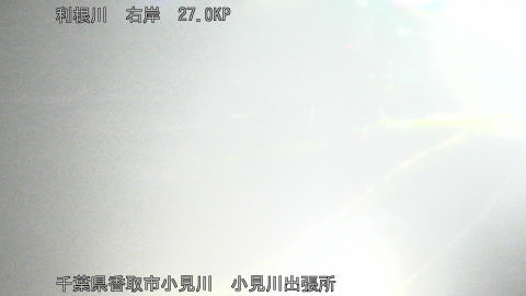 tonko2026051221_image