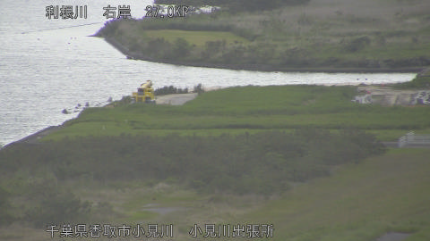 tonko2026051318_image