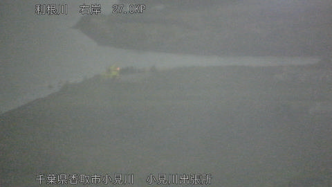 tonko2026051320_image