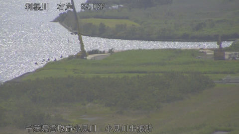 tonko2026051409_image