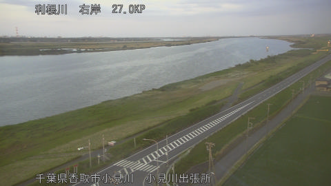 tonko2026052919_image