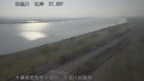 tonko2026060107_image