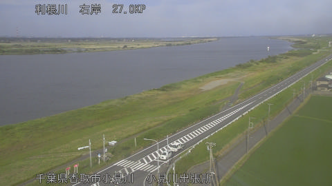 tonko2026060117_image