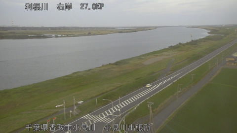 tonko2026060119_image