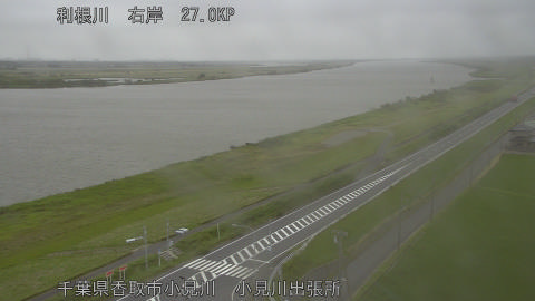 tonko2026060515_image