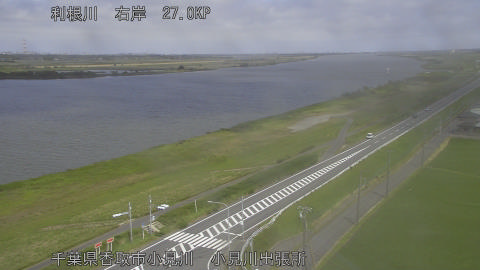 tonko2026060614_image