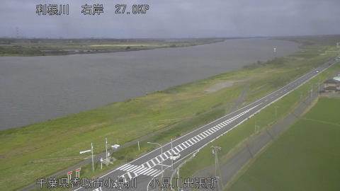 tonko2026060616_image