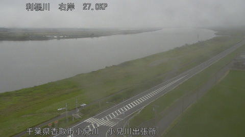 tonko2026060716_image