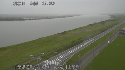tonko2026060818_image