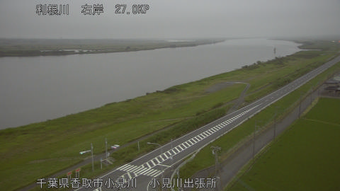 tonko2026060819_image