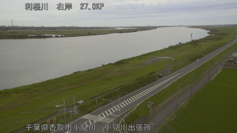 tonko2026060918_image