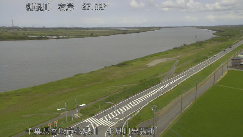 tonko2026061113_image