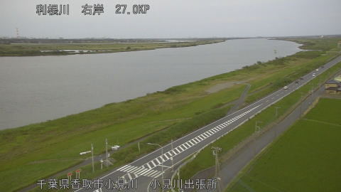 tonko2026061119_image