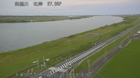 tonko2026061219_image